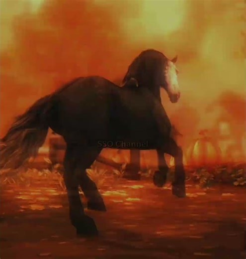 Any edit requests? 👀 | Basic SSO edit | #sso