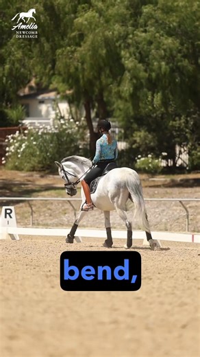 76 reactions | Canter with Confidence: ✅How to ask for canter ✅How to sit the canter ✅What to do if you’re afraid to canter ✅Patterns and figures for a smooth transition ✅How to keep your horse round, supple and soft in canter. With this step-by-step guide, you and your horse will be round in the canter and you will feel confident and connected! Have fun and enjoy cantering! Click to get instant access. | Amelia Newcomb Dressage | Facebook