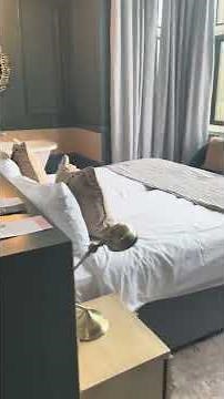 Hoar Cross Hall Spa room 434 Countess Crystal - middle of the house with a gorgeous view!