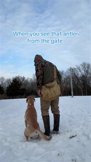 What a freak #sheddog #shedhunt #fyp #foryou #foryoupage | Shed Hunting