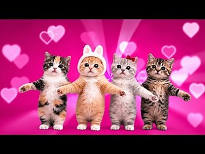 Cats Dancing - Cool ( That Or That) (Best Part Looped + Viral Version)