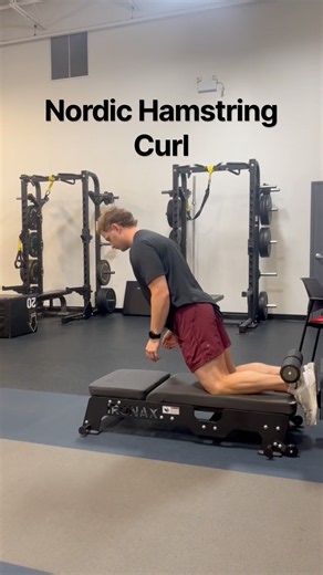 Nordic Hamstring Curl