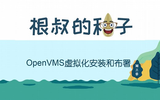 第13集 OpenVMS虚拟化安装和部署