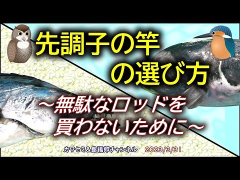 Illustrated: How to Choose a Tip-action Rod: We'll explain the minimum types of rods you need to ...