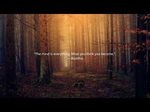 Calm Motivation for Mind & Focus 🌲 | Peaceful Quotes with Chill Lo‑Fi Music