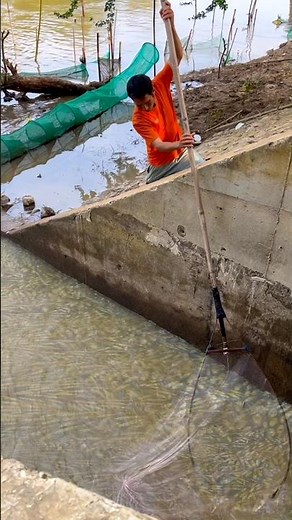 Real Life 100% Net Fishing 5Kg In River At The Countryside (Part 57) #fishing #fish #new
