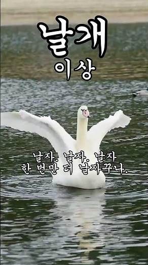 [날개_이상] 명대사 ㅣ '날개야 다시 돋아라. 날자. 날자. 날자. 한 번만 더 날자꾸나.한 번만 더 날아 보자꾸나.……'ㅣ한국문학