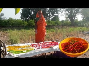 ऊन्हाळ्यात हा शेवटचा वाळवणीचा पदार्थ करून बघा!आजीच्या पध्दतीनं रंगीबिरंगी दोडका!लहान मोठे आवडीने खाआ