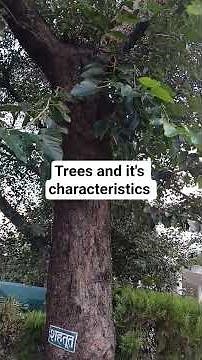 Trees and it's characteristic#shorts#live#tree