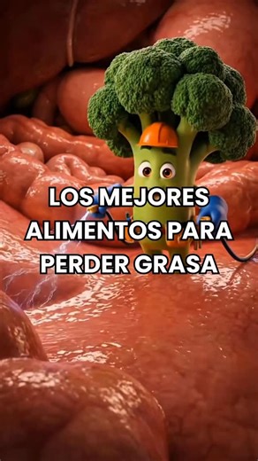 NutriConsejos on Instagram: "🥦 Brócoli: activa la quema de grasa. 🔥 Jengibre: acelera el metabolismo. 🥑 Aguacate: elimina grasa no saludable. 🍎 Manzana: limpia el exceso de grasa. 🍵 Té verde: reduce grasa naturalmente. 🌰 Nueces: equilibran las grasas. 🥚 Huevo: proteína que quema grasa. 🌾 Avena: absorbe grasa extra. 🌱 Chía: regula y limpia el flujo. Comenta libro 📚 para empezar el año con remedios naturales y síguenos para optimizar tu salud 💚✨ #salud #vidasana"
