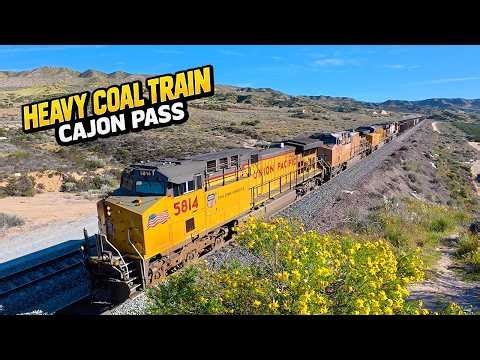 Heavy Union Pacific Coal Train Descending Cajon Pass | California