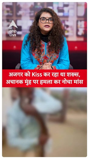 Viral Video: Man Kisses Python, Gets Mauled as It Strikes His Face! | ABP News