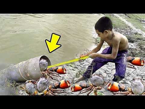 Amazing Technique of 🦀Many Giant Mud Crabs Catching Using PVC pipe || New Crab trap
