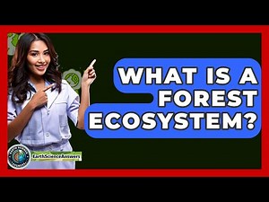 What Is A Forest Ecosystem? - Earth Science Answers
