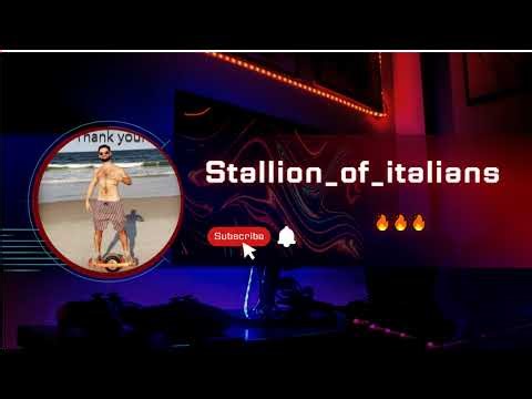 Happy Friday Fort! | Code XSTALLIONX #EpicPartner #YTPartner