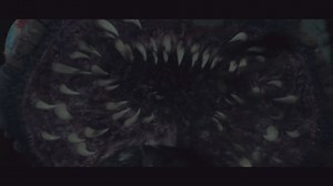 Wenn Fliegen hinter Fliegen fliegen... Seht den Trailer zum Horrorfilm "Insect". | Moviebreak