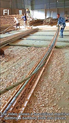 Bamboo Has Many Different Uses