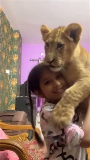 Meet the newest member of Ronok’s little world 🐅😜