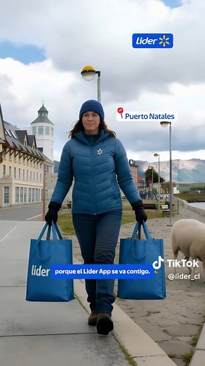 De norte a sur y de mar a cordillera, llegamos con tu pedido estés donde estés 📍💙 Encuentra todo lo que necesitas en Lider App para disfrutar de este verano con despacho gratis por compras sobre $30.000 en más de 750 localidades 📍🚚 #Lider #LiderApp