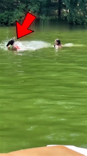 Dad Pranks Daughters with Fake Alligator — Their Reaction Is Priceless