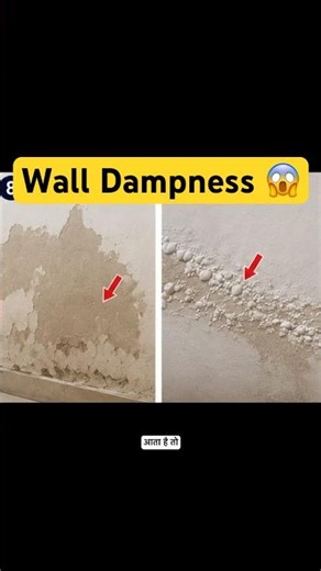 Dampness | Waterproofing Explained 😱 #construction #civil #fyp #viral