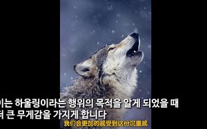 【中字】Howlin'404歌曲解析|DEAN权革