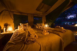 4.7K views · 46 reactions | A mobile safari in luxuriously spacious...