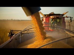 How Brazilian Farmers Harvest Billions of Tons of Soybeans