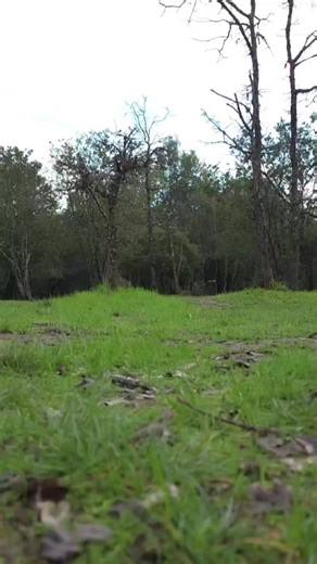 Dad's Disc Golf Adventure: A Happy Place for Family Fun