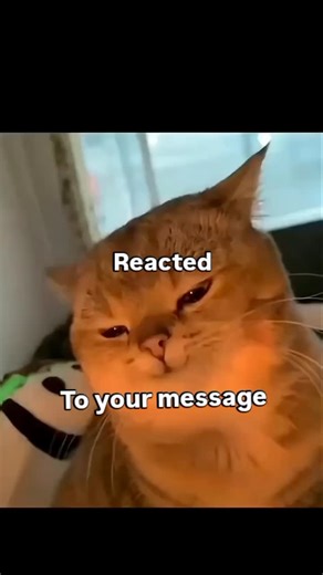 bug on Instagram: "Yapapa"