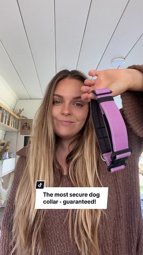 Not all dog collars are created equal! 🐶 Meet our Tacticle Dog Collar - the most comfortable and secure dog collar guaranteed! Grab yours today via the link in our bio! #dogcollar #dogaccessories #doggear #dogfashion #doglover #dogowner