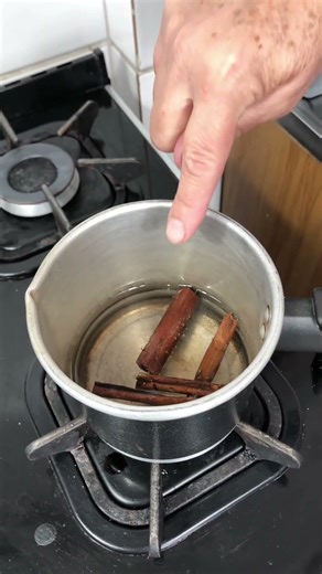 Cinnamon and Vinegar Home Freshener That Transforms Your Entire House!