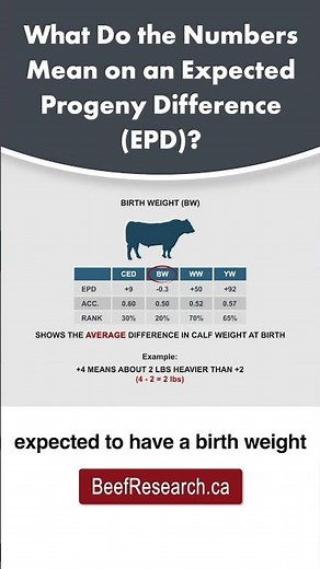 EPDs: What do the numbers mean?