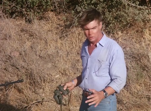 Buy: https://amzn.to/4dDI2MO Airwolf - The Complete Series [DVD] #AD #TVseries #Commisionearned | Airwolf - The Lady