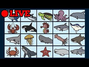 🔴 Hello Everything! 👀 Live Stream | Finger Family Nursery Rhymes & Animation