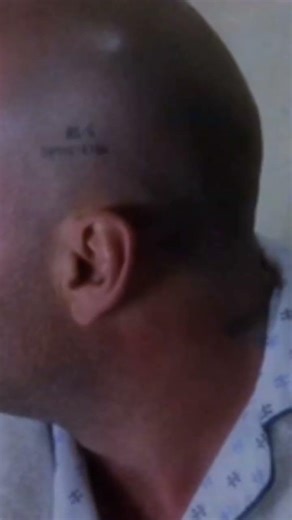 12 monkeys movie what is in the movie 🍿🎥