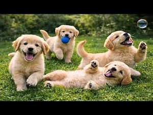 🐶🍃 Tiny Puppies Having Fun on Green Meadow – Calm Dog Moments – Cute Dog Compilation