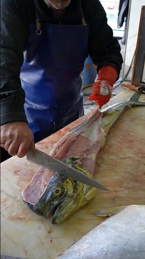 Clean & Cut: Mahi Mahi Steak Filleting for Beginners