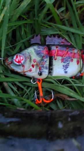 #fishing #lure #lurefishing #predatorfishing #perch #pike #perchfishing #pikefishing #custom #lures #riverfishing #fishinglure #handmade #paint #wood #water #river #alien_predator_lures #handcrafted #luremaking #lurebuilding #handmadelures #zombie | Alien_Predator_Lures