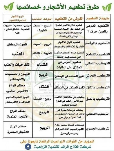 طرق تطعيم الأشجار وخصائصها