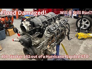 LS2 408 Stroker Out of a Hurricane Flooded GTO! Is This Engine Any Good? BTR Texas Speed Holley LSX