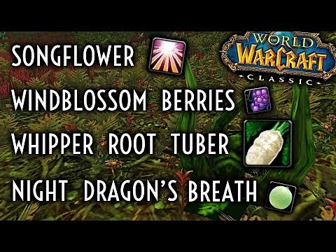 WoW Classic Guide - Whipper Root Tubers/Songflowers/WIndblossom Berries/Night Dragon's Breath