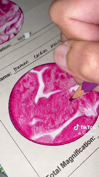 Artistic Depictions through Microscopic Lens