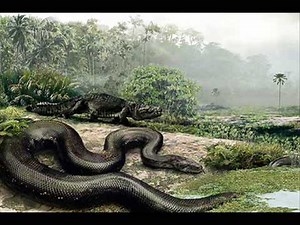 RALPH McTELL Genesis 1 verse 20 / First and Last Man 1971