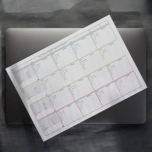 Veterinary Daily Treatment Schedule: Printable Patient Organizer (PDF & Excel) - Etsy