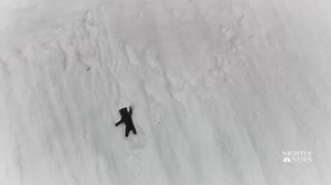 238K views · 3.6K reactions | Viral video shows mighty bear cub aiming to reach parent atop snowy mountain. | NBC Nightly News with Tom Llamas | Facebook