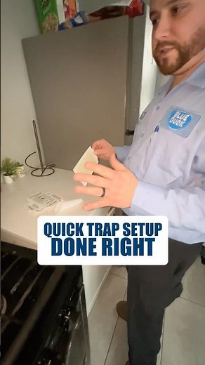 How to Set a Mouse Glue Trap Correctly Behind Your Stove #shorts