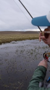 2.2M views · 10K reactions | Dry fly action for brown trout in little creek - Rio Chico down in Argentina is a truly world class experience @katka_svagrova Filmed in @bellasofialodge Filmed by @machadooutdoors #HardyFishing #FlyFishing #FishingAdventures #FlyFishingAddict | Hardy Fly Fishing | Facebook
