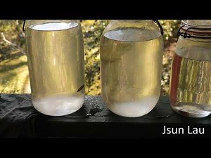 Liquid culture from dried mushrooms