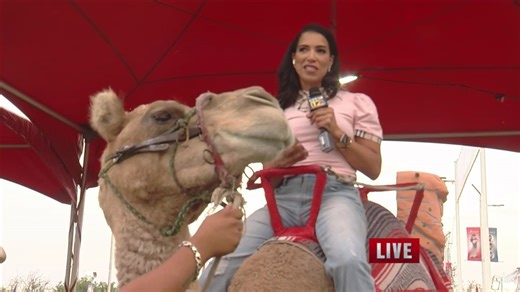 Why ride a Ferris wheel when you can hitch a ride on a camel?